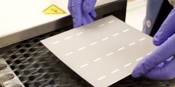 Plant PV technology