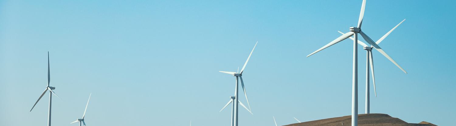 Image of a windmill plant with a rainbow above it